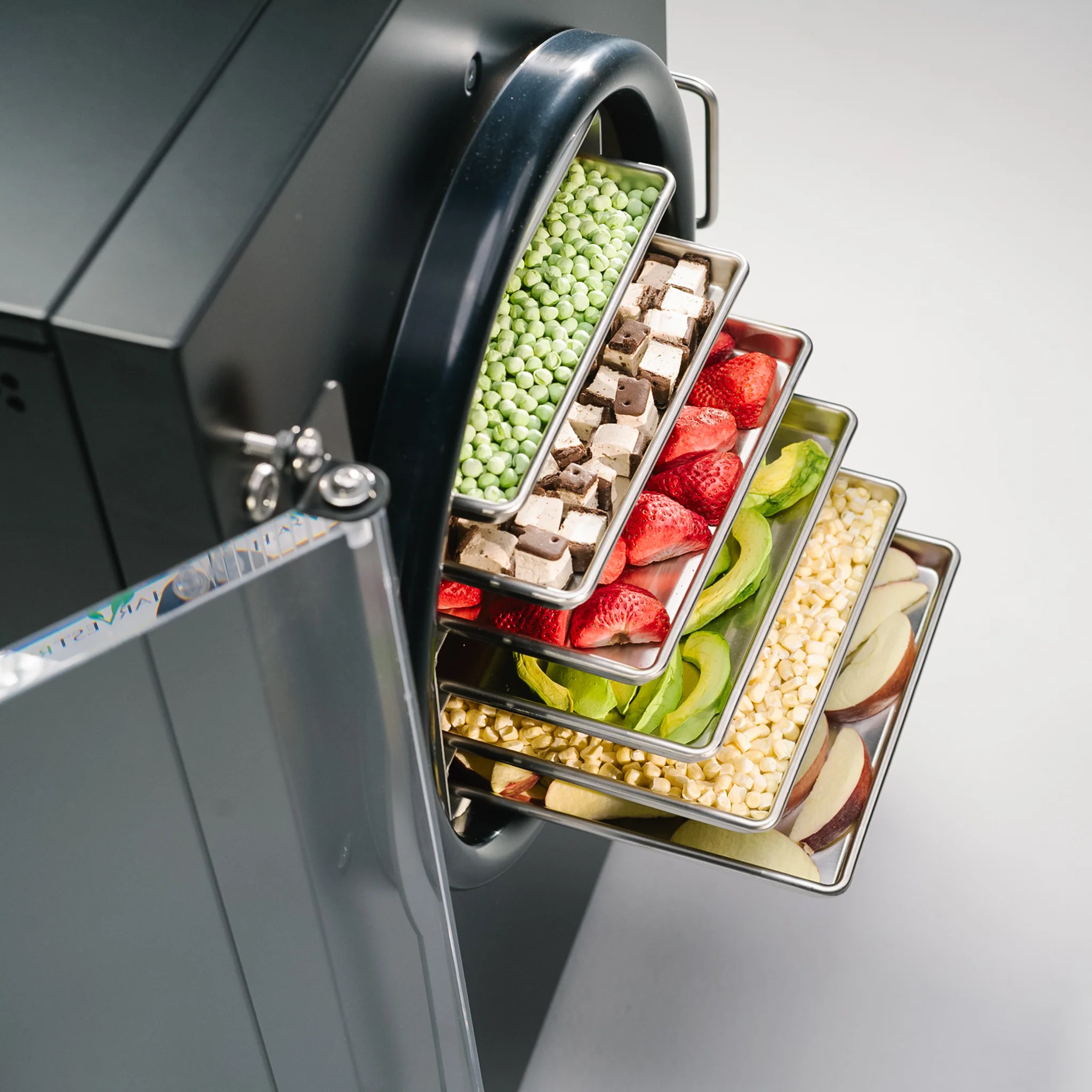 Home Freeze Dryer - Image 41