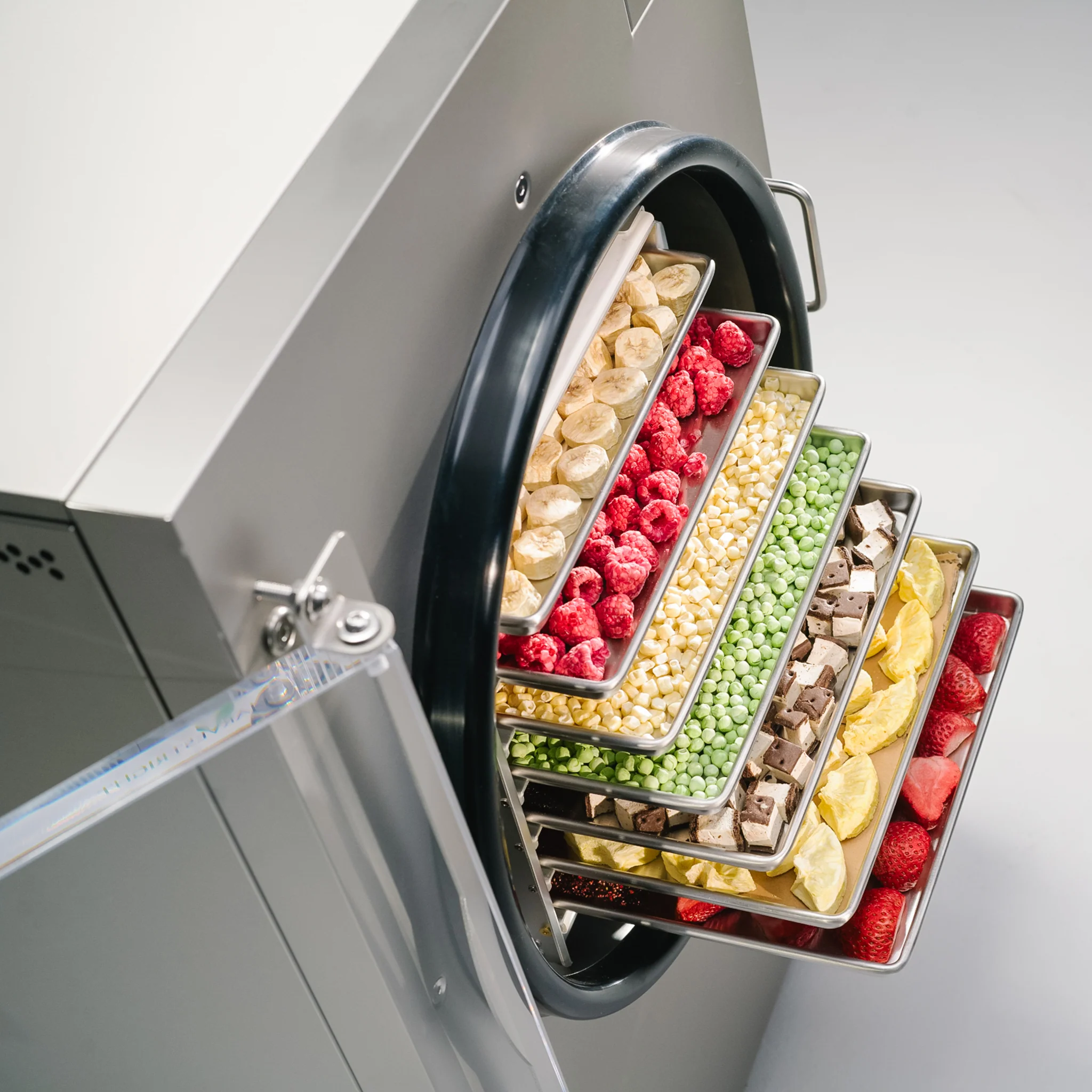 Home Freeze Dryer - Image 62